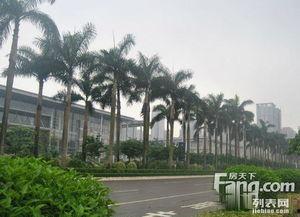 江门蓬江区爆料案件最新,案情揭秘,真相大白! 第3张 江门蓬江区爆料案件最新,案情揭秘,真相大白! 第3张