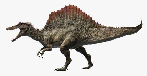 最新爆料异特龙图片大全,揭秘史前巨兽的真实面貌  第1张